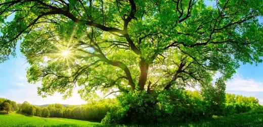 Why accuracy and auditability matters in ESG reporting